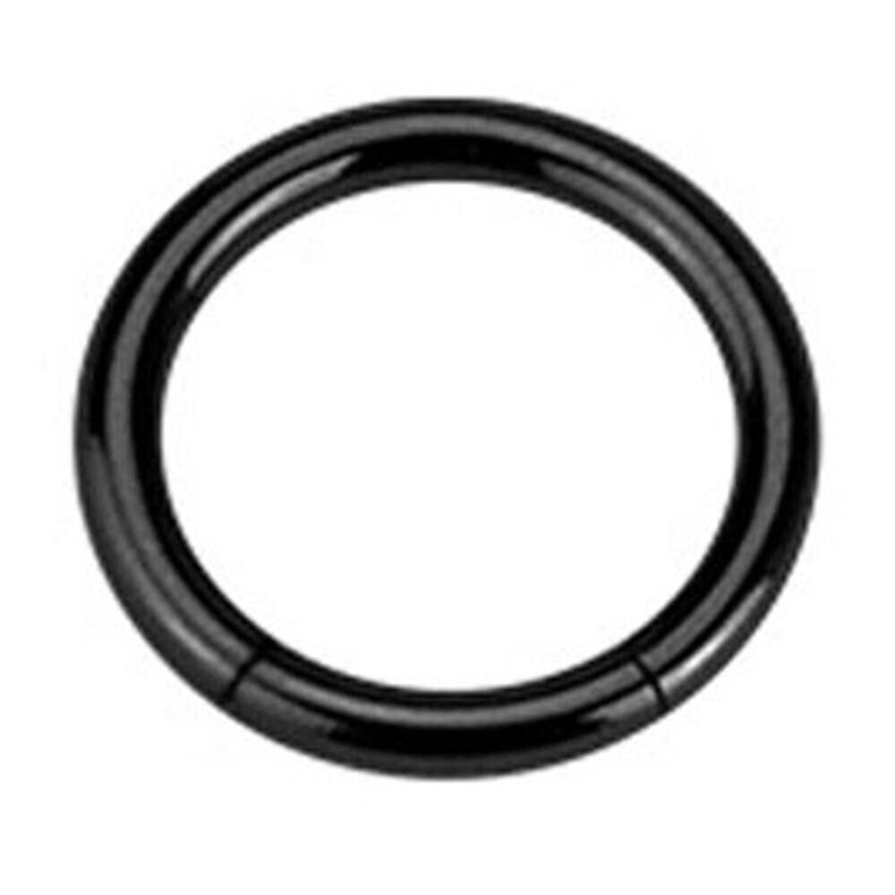 Pair Black Ion 316L Surgical Steel Seamless Segment Circular Captive Ring Hoop